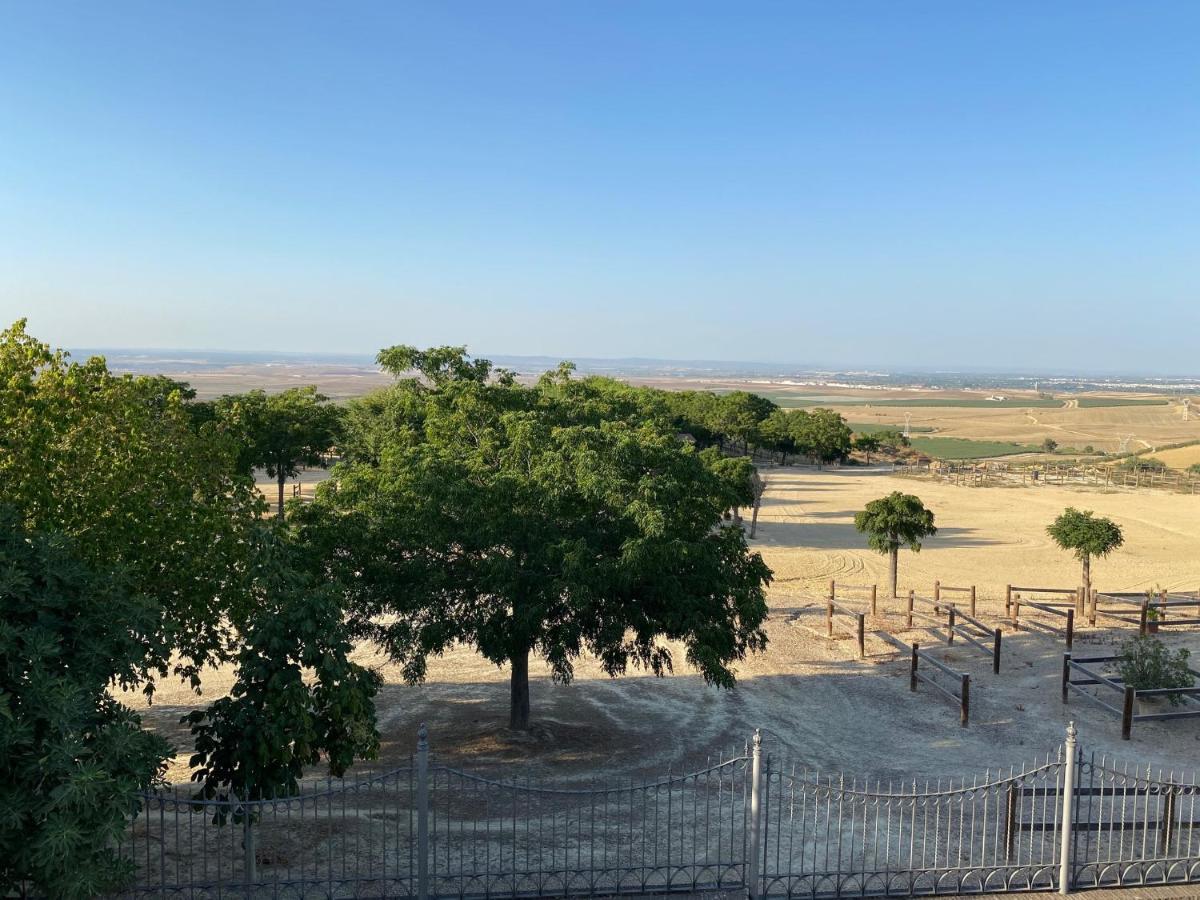 Sevilla Saltera Casa Rural Cerca Centro De Sevilla Familiar - Trabajo - Wifi Salteras Kültér fotó